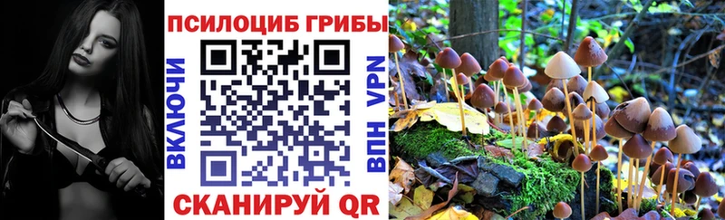 дарнет шоп  блэк спрут ONION  Галлюциногенные грибы прущие грибы  Спас-Клепики 